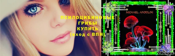 винт Пересвет