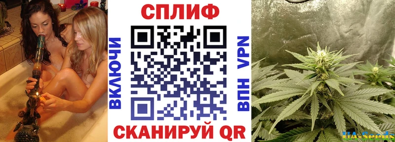 Шишки марихуана семена  купить   Фурманов 